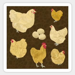 Buff Orpington Chicken Brown Sticker